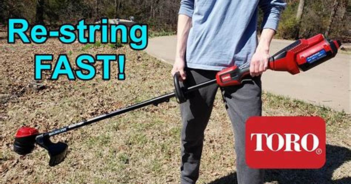 Toro Weed Eater