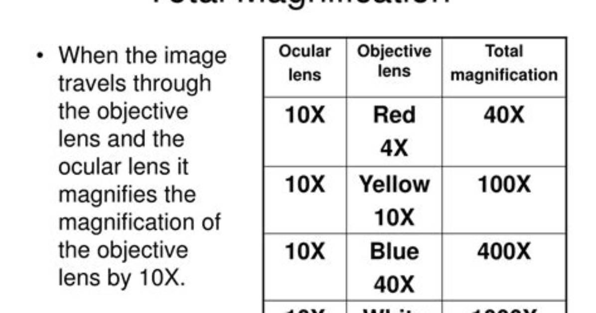 Total Magnification