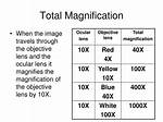 Total Magnification