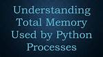 Total Memory Used by Python Process?