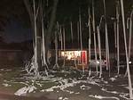 Tp House