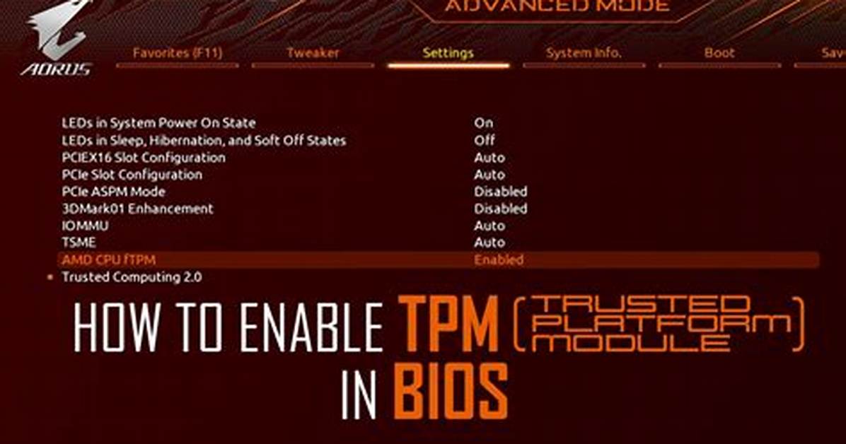 Tpm Bios