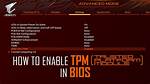 Tpm Bios