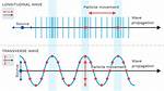 Transverse and Longitudinal Waves