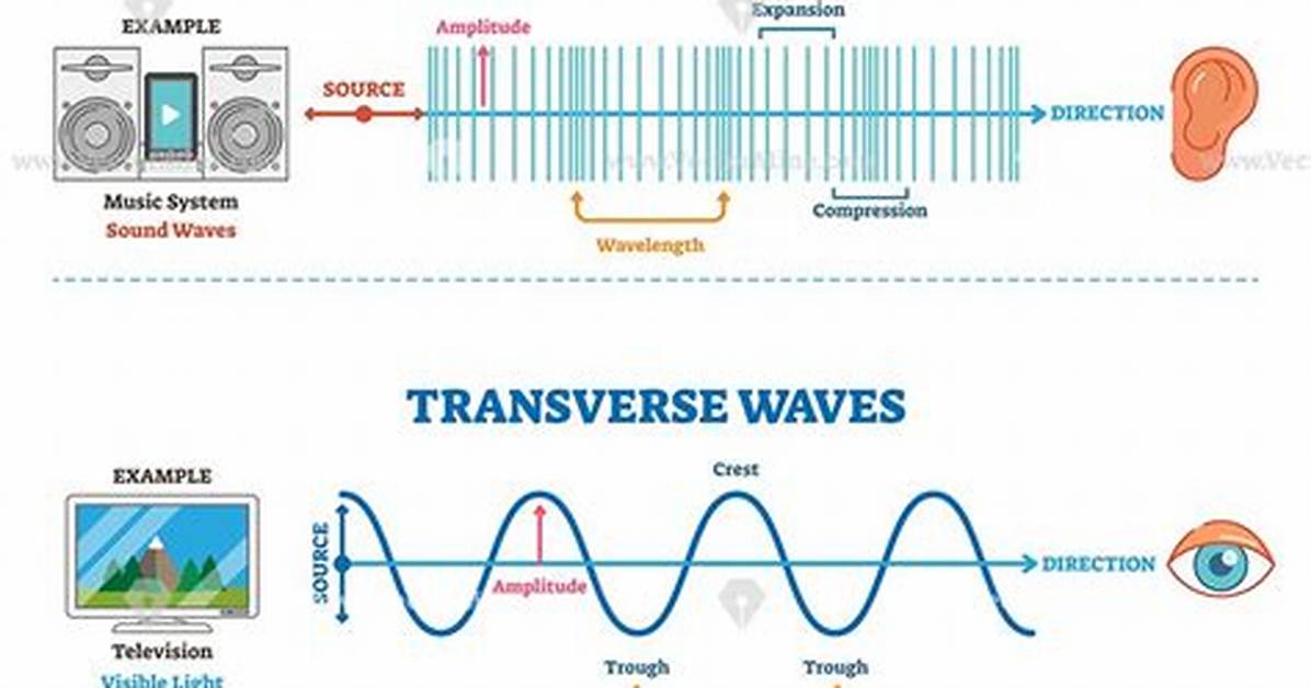 Transverse vs Longitudinal