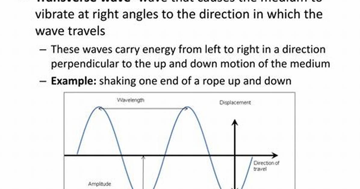 Transverse Waves Examples