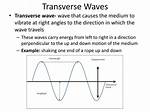 Transverse Waves Examples