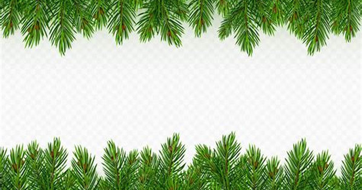 Tree Border