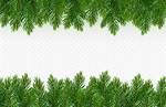 Tree Border