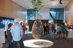 Tree Pod