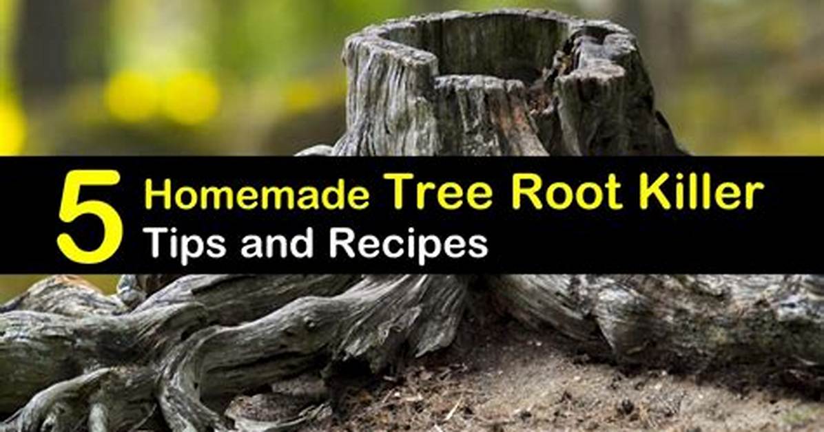 Tree Root Killer