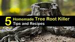 Tree Root Killer