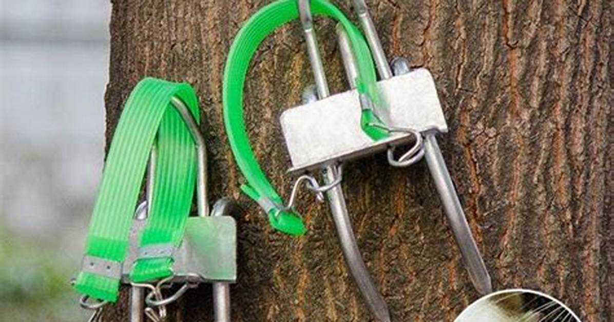 Tree-Toppling Tool