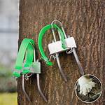 Tree-Toppling Tool