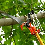Tree-Trimming Tool