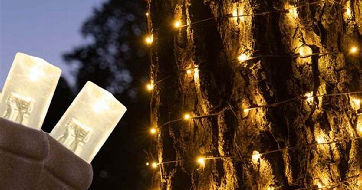 Tree Trunk Lights