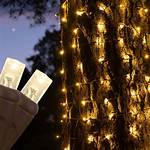 Tree Trunk Lights