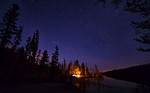 Trees at Night