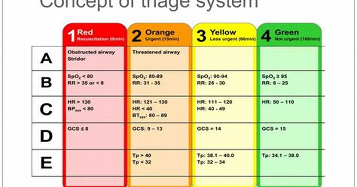 Triage Synonym
