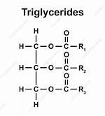 Triglyceride Structure