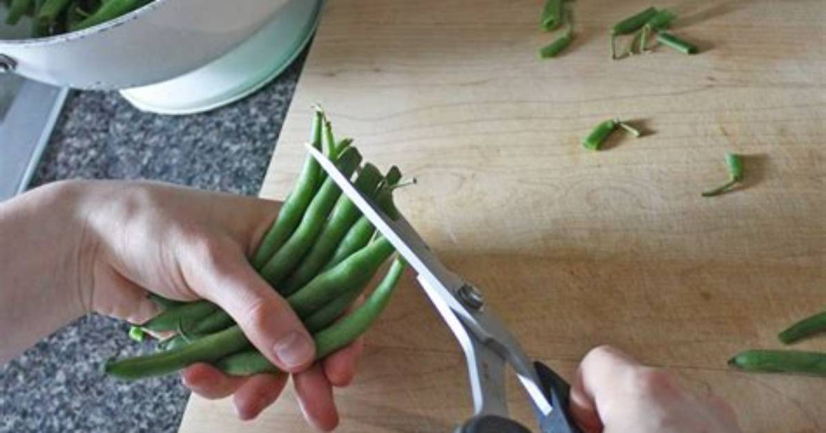 Trimming Green Beans