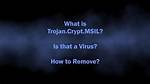 Trojan. Msil. Crypt
