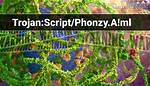 Trojan: Script/Phonzy. B! Ml