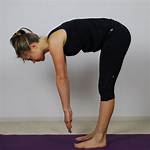 Trunk Flexion