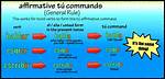 Tu Commands
