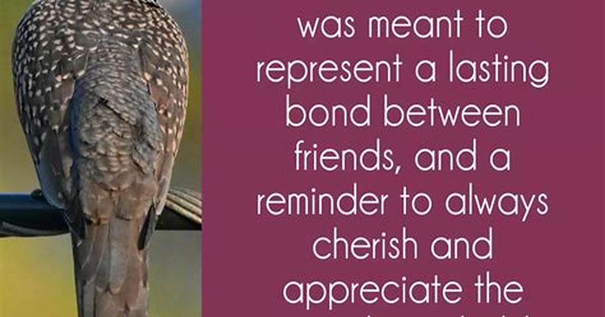 Turtle Doves Meaning