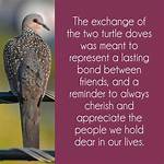Turtle Doves Meaning