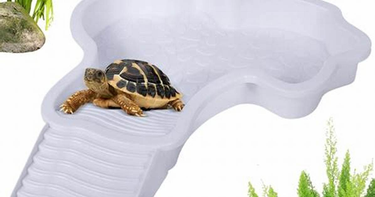 Turtle Tub