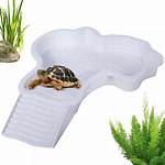 Turtle Tub