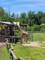 Turtleback Zoo