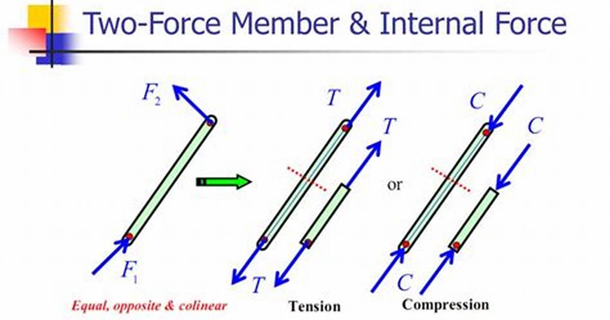 Two Force Member