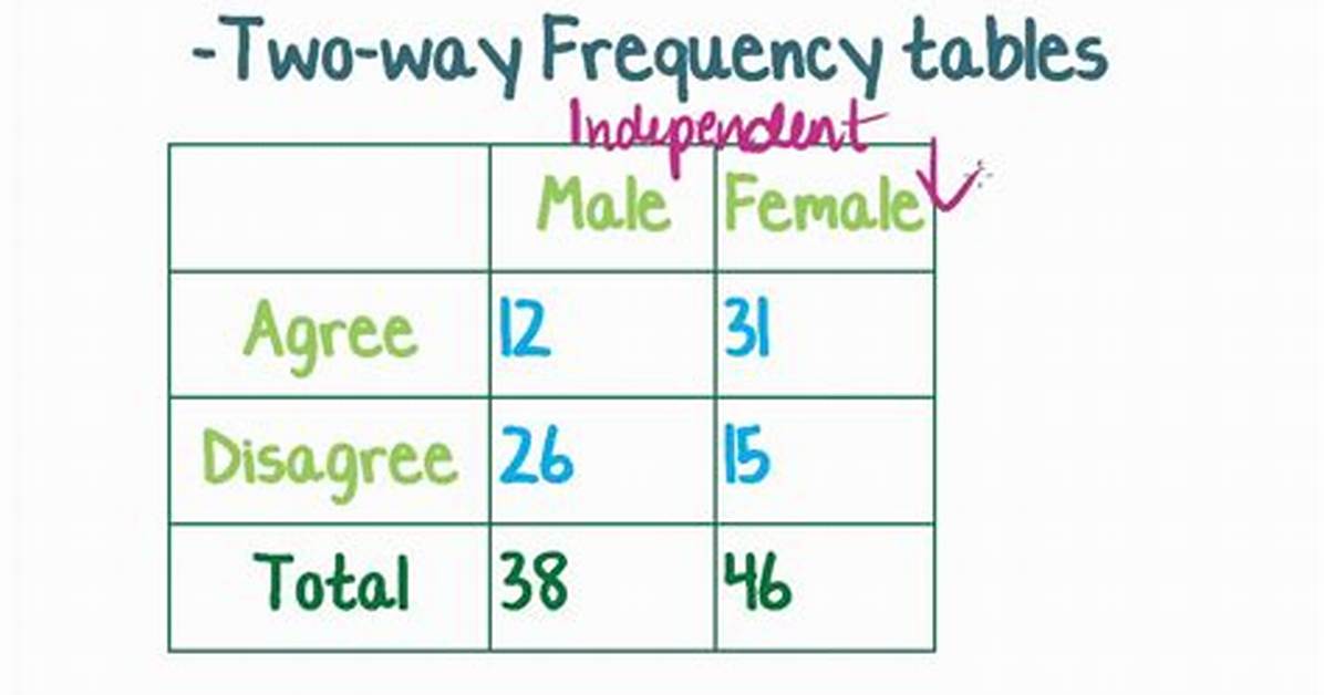 Two Way Frequency Table