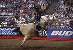 Ty Murray