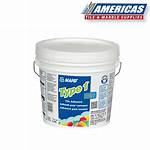 Type 2 Mastic