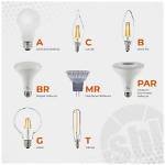 Type B Bulb