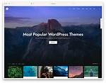 Typical Wordpress Website