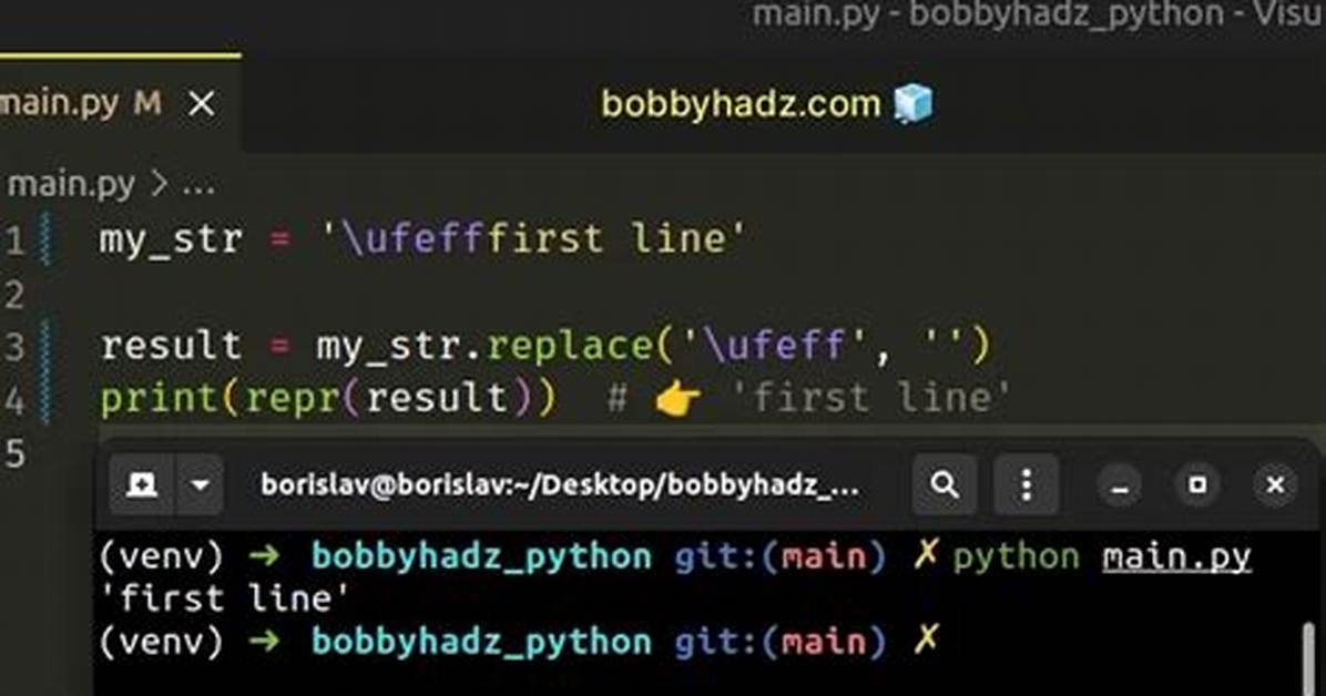 U'\Ufeff' in Python String