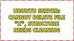Ubuntu Server: Cannot Delete File "X", Structure Needs Cleaning