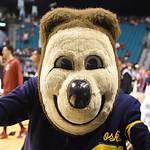 Uc Berkeley Mascot