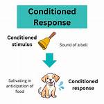 Unconditioned Response Definition