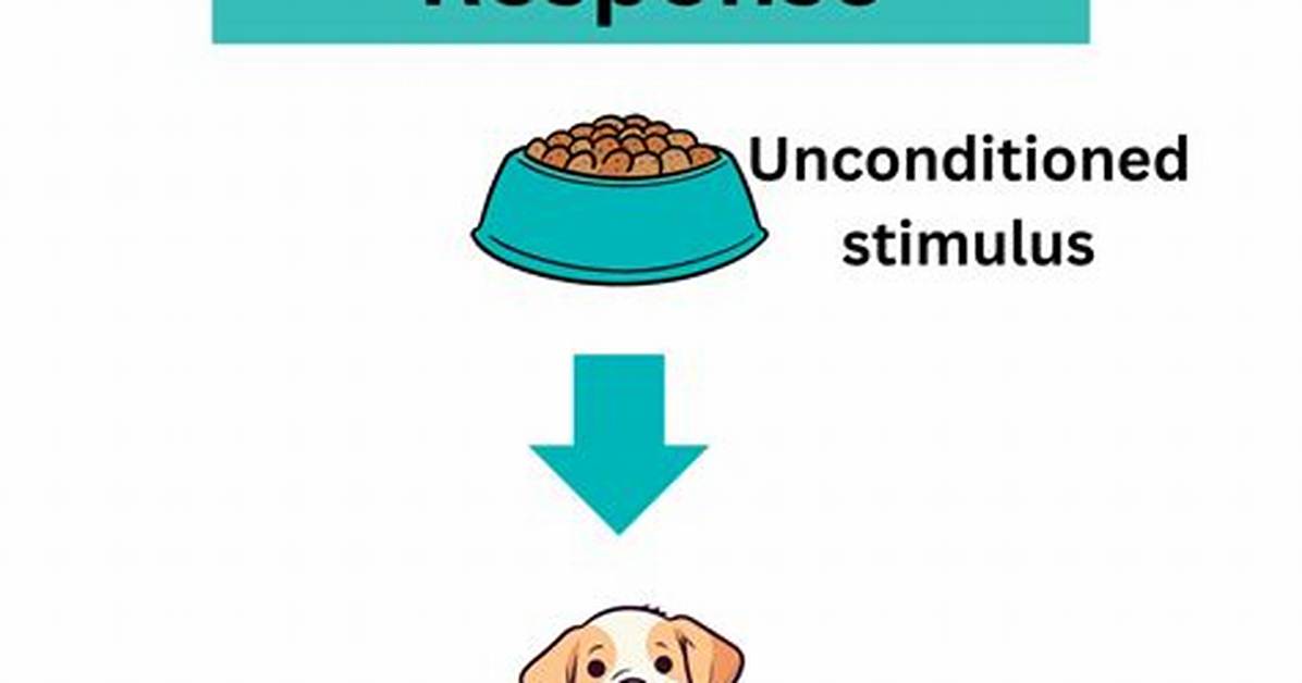 Unconditioned Response Example