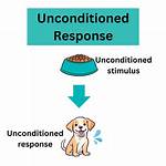 Unconditioned Response Example
