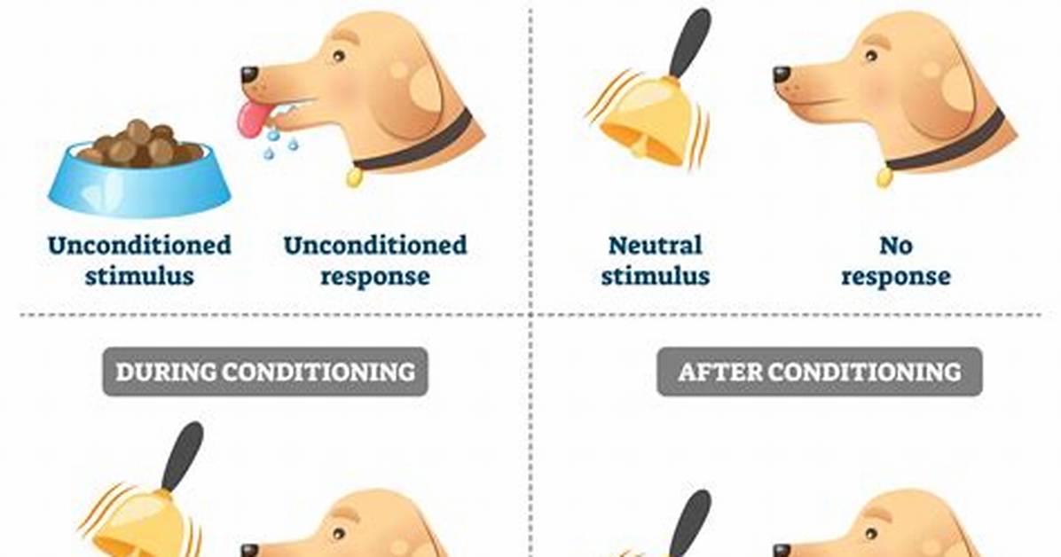 Unconditioned Stimulus Example