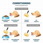 Unconditioned Stimulus Example