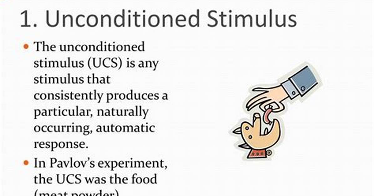 Unconditioned Stimulus