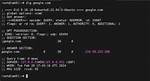 Understanding 'Dig Google. Com' Command